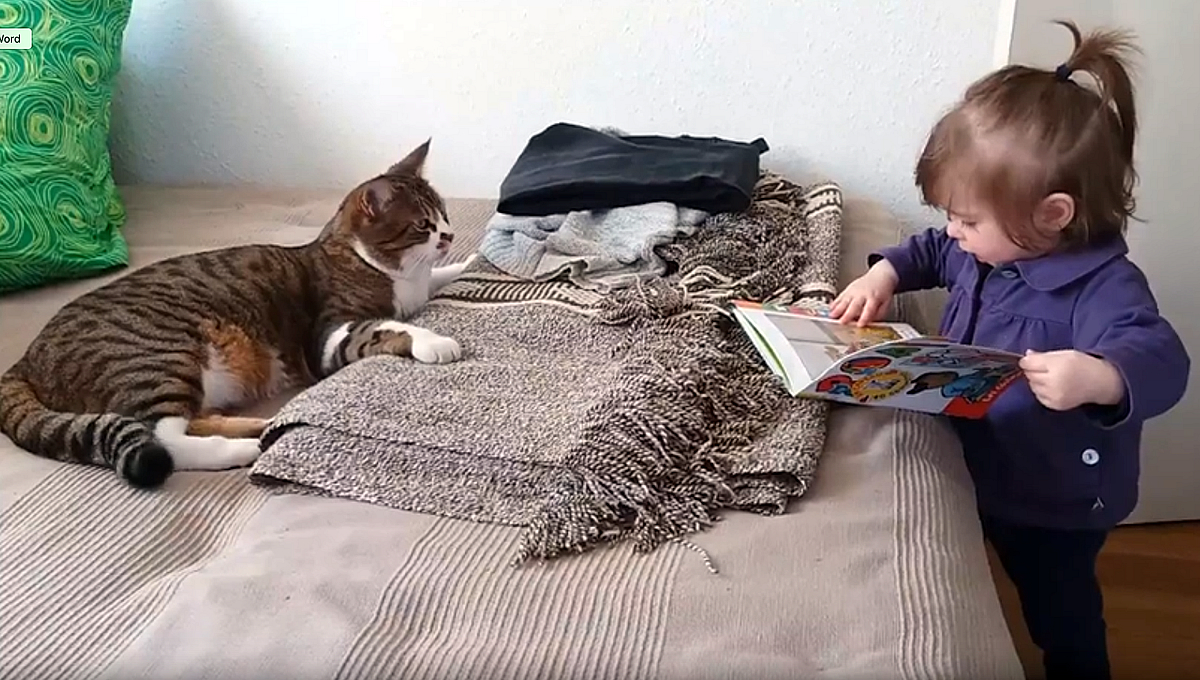 Érase una vez : Julio escuchando atentamente el cuento que le lee Chiara, mi nieta menor