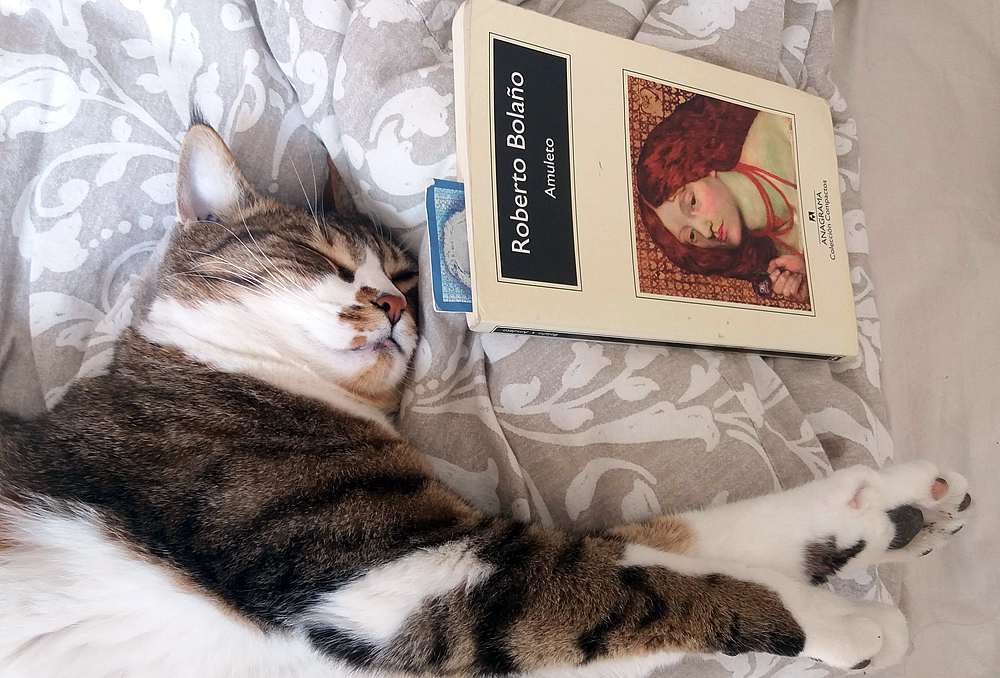 Est-ce Bolaño qui a epuisé ce pauvre Julio ?